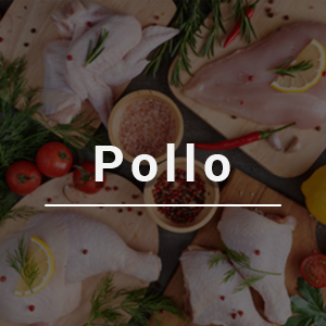 Pollo